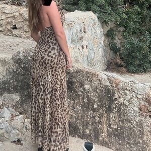 Zara Brown Animal Print Dress